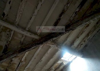 Foto 29 - Casa semi indipendente Seravezza - foto 29