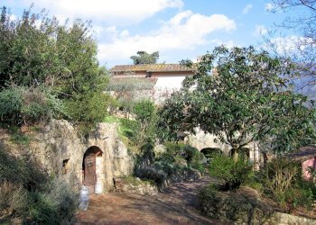 Foto 5 - Villa Camaiore - foto 5