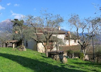 Foto 6 - Villa Camaiore - foto 6