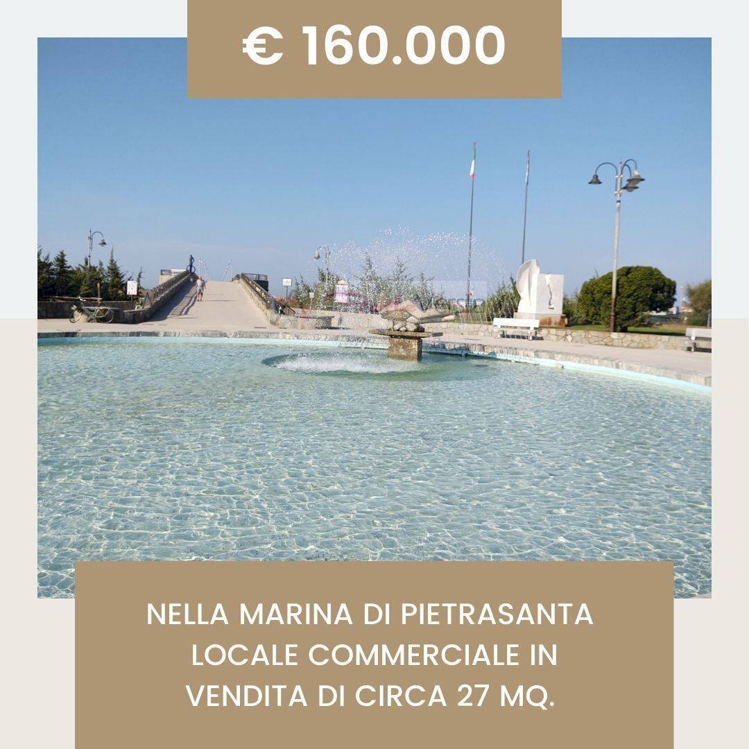 Foto 1 - Locale Commerciale Pietrasanta - foto 1