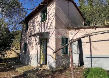 Foto 8 - Rustico Pietrasanta - foto 8