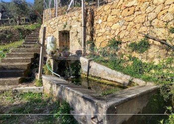 Foto 6 - Rustico Pietrasanta - foto 6