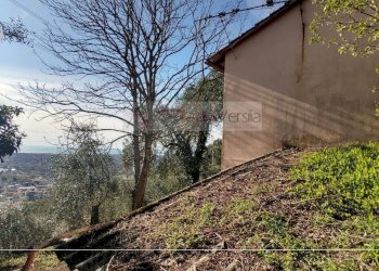 Foto 12 - Rustico Pietrasanta - foto 12