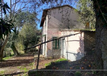 Foto 9 - Rustico Pietrasanta - foto 9