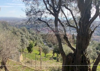 Foto 13 - Rustico Pietrasanta - foto 13