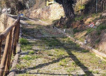 Foto 4 - Rustico Pietrasanta - foto 4