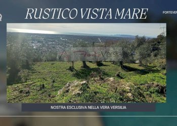 Foto 1 - Rustico Pietrasanta - foto 1