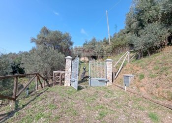 Foto 3 - Rustico Pietrasanta - foto 3