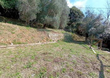 Foto 5 - Rustico Pietrasanta - foto 5