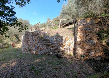 Foto 7 - Rustico Pietrasanta - foto 7