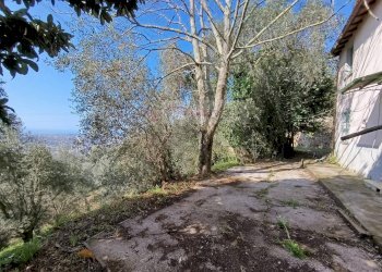 Foto 11 - Rustico Pietrasanta - foto 11