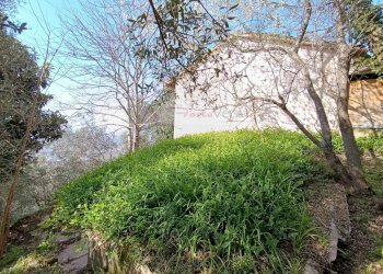 Foto 15 - Rustico Pietrasanta - foto 15