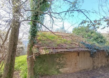 Foto 16 - Rustico Pietrasanta - foto 16