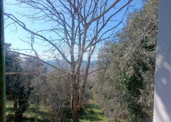 Foto 23 - Rustico Pietrasanta - foto 23