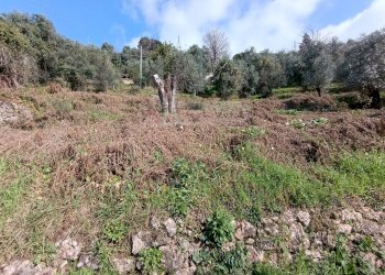 Foto 27 - Rustico Pietrasanta - foto 27