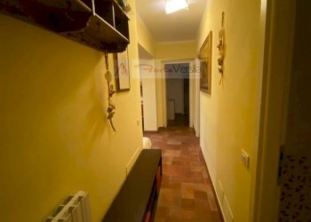 Foto 12 - Appartamento Pietrasanta - foto 12