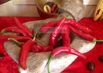 Foto 17 - Hotel Camaiore - foto 17