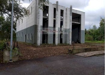 Foto 1 - Capannone Pietrasanta - foto 1