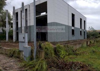 Foto 2 - Capannone Pietrasanta - foto 2