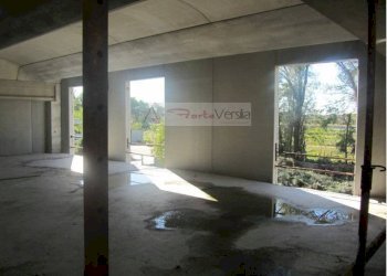 Foto 5 - Capannone Pietrasanta - foto 5