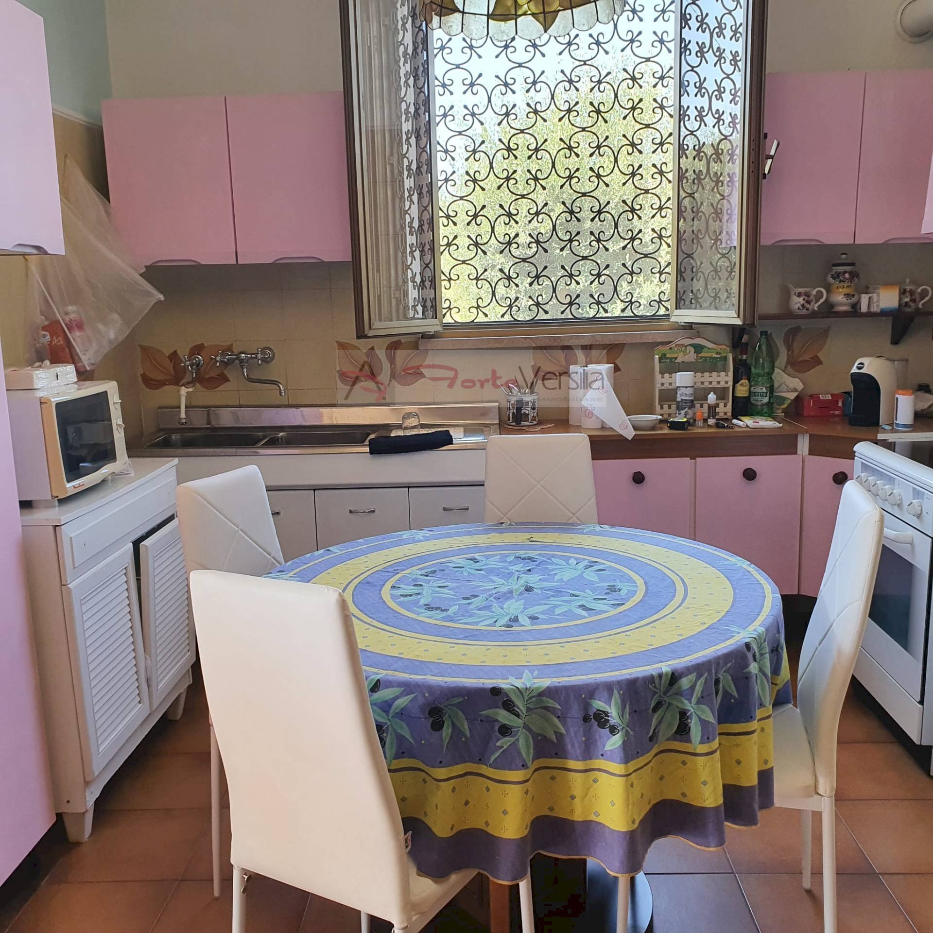 Foto 3 - Casa indipendente Forte dei Marmi - foto 3