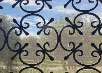 Foto 22 - Casa indipendente Forte dei Marmi - foto 22