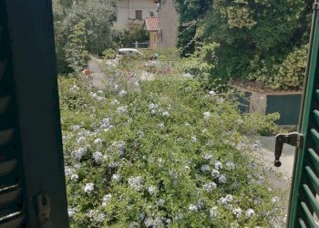 Foto 27 - Villa Massa - foto 27