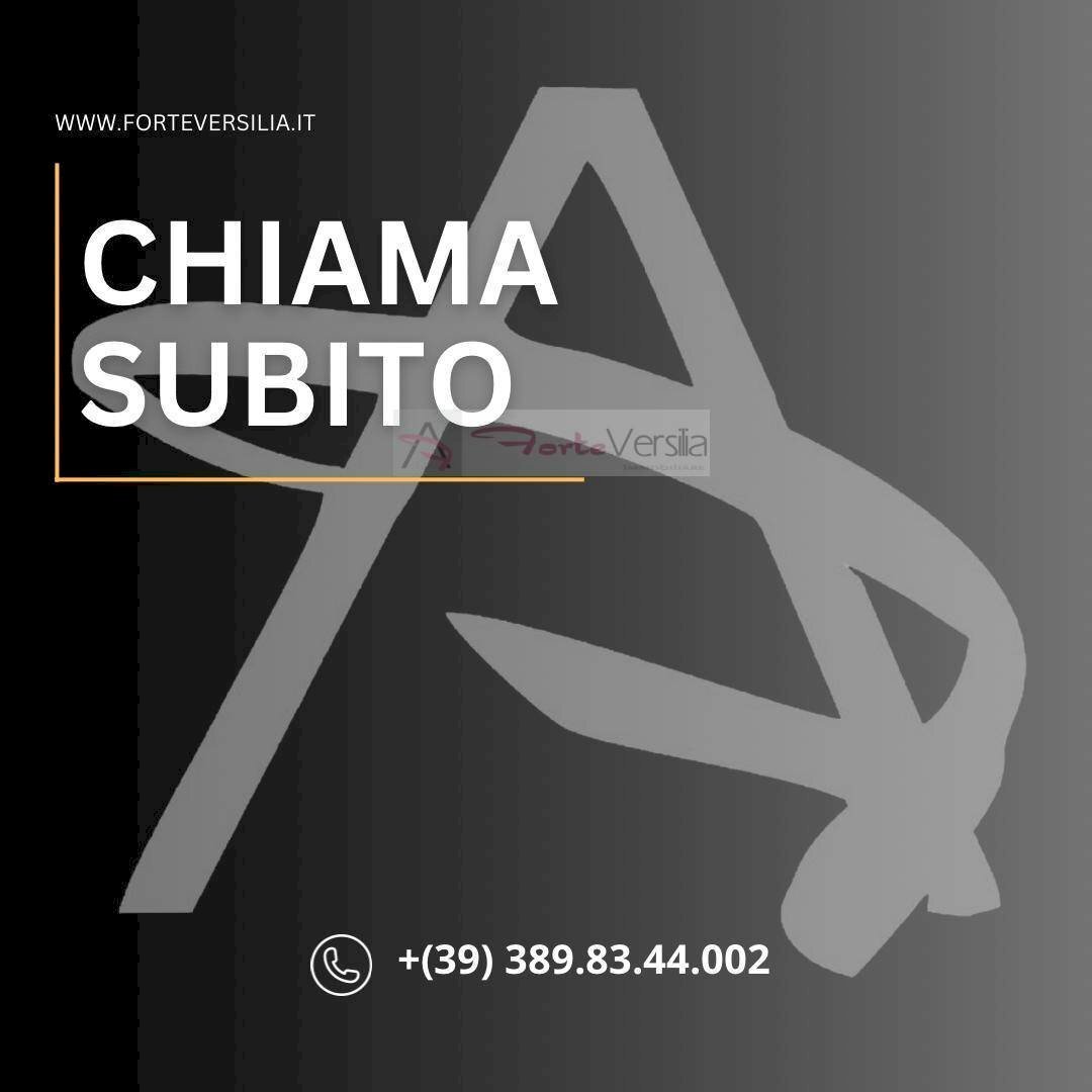 Foto 2 - Attività Commerciale Camaiore - foto 2