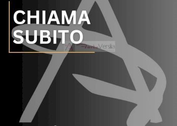 Foto 2 - Attività Commerciale Camaiore - foto 2