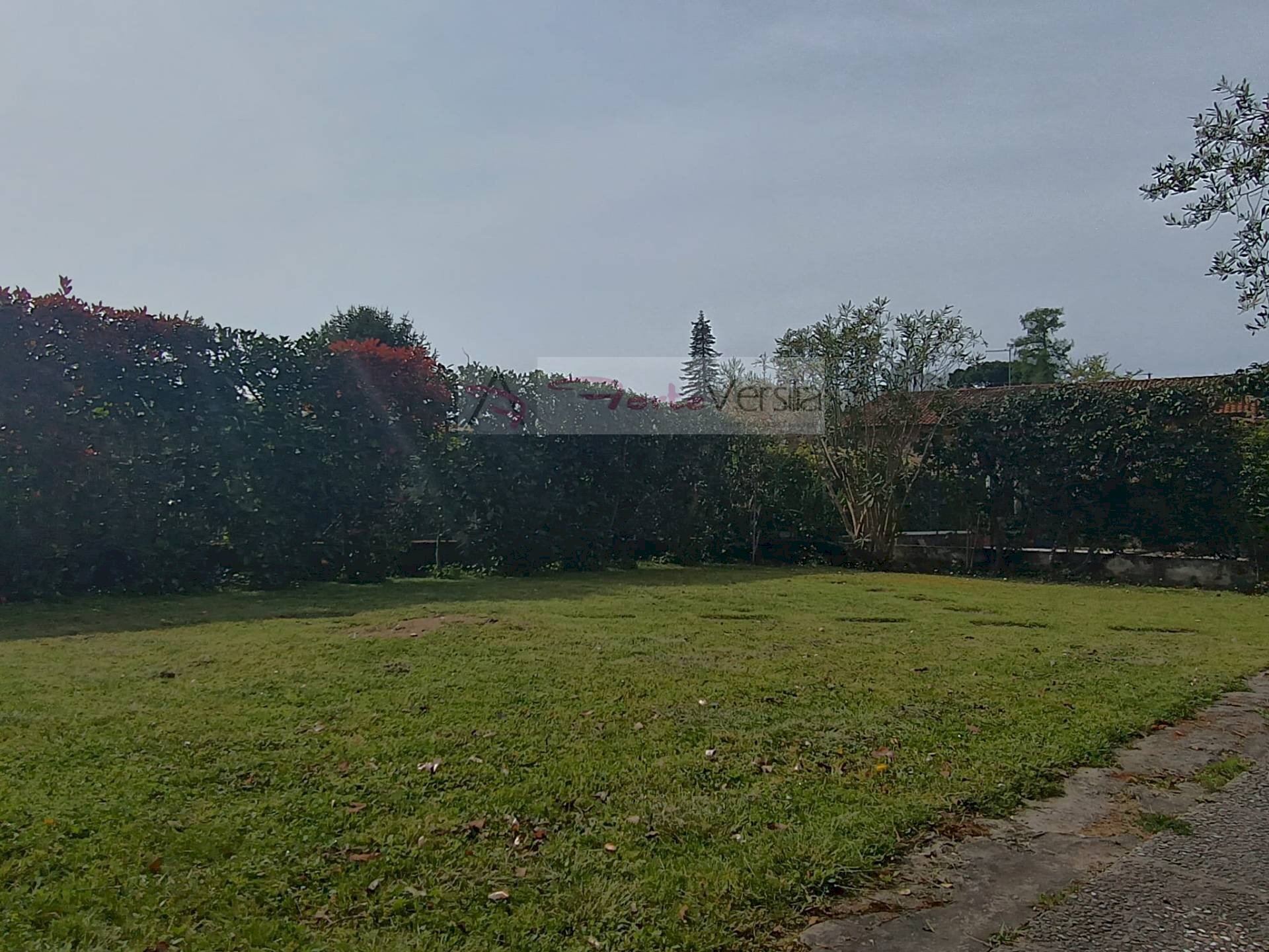 Foto 3 - Villa Pietrasanta - foto 3