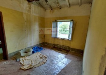 Foto 6 - Rustico Camaiore - foto 6