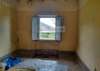 Foto 12 - Rustico Camaiore - foto 12