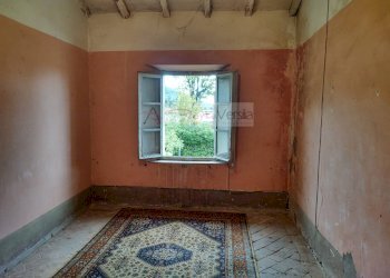 Foto 10 - Rustico Camaiore - foto 10