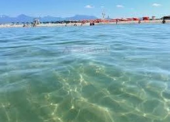 Foto 22 - Rustico Camaiore - foto 21