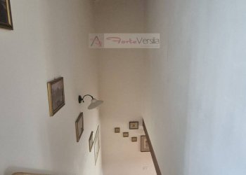 Foto 41 - Villa Montignoso - foto 41