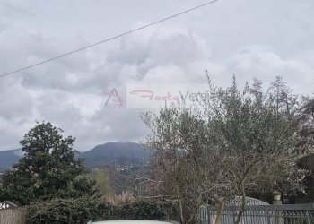 Foto 43 - Villa Montignoso - foto 43