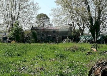 Foto 3 - Terreno edificabile Pietrasanta - foto 3