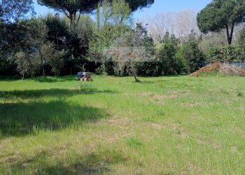 Foto 7 - Terreno agricolo Montignoso - foto 7