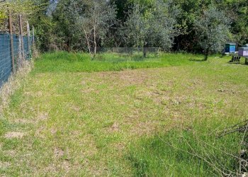 Foto 10 - Terreno agricolo Montignoso - foto 10