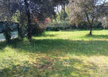 Foto 2 - Terreno agricolo Montignoso - foto 2