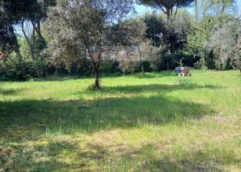 Foto 11 - Terreno agricolo Montignoso - foto 11