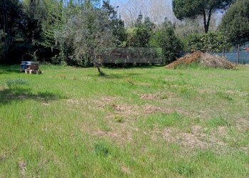 Foto 12 - Terreno agricolo Montignoso - foto 12