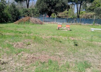 Foto 13 - Terreno agricolo Montignoso - foto 13