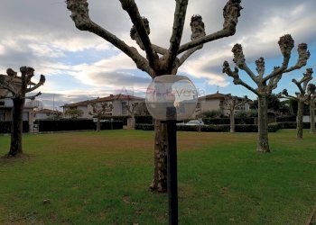 Foto 23 - Villa Pietrasanta - foto 23