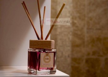 Foto 14 - Appartamento Viareggio - foto 13