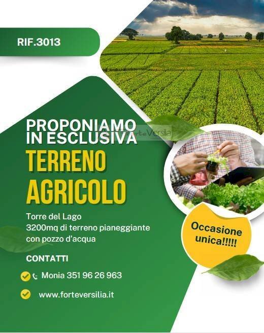 Marketing - Terreno agricolo Viareggio - foto 1