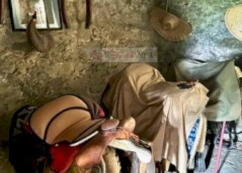 Foto 16 - Villa Castiglione di Garfagnana - foto 16