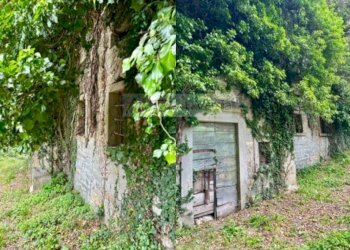 Foto 24 - Villa Castiglione di Garfagnana - foto 24