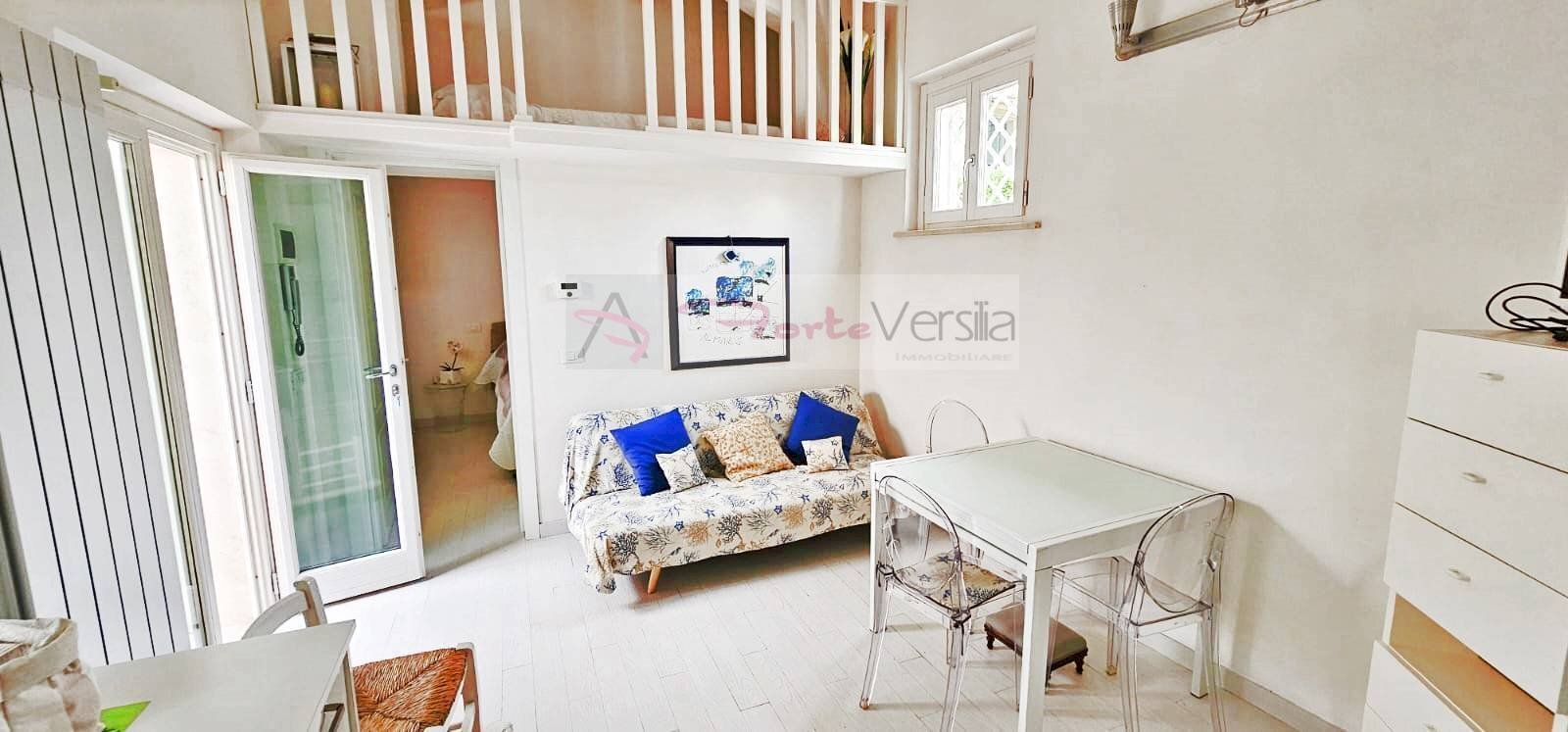 Foto 1 - Casa semi indipendente Forte dei Marmi - foto 1