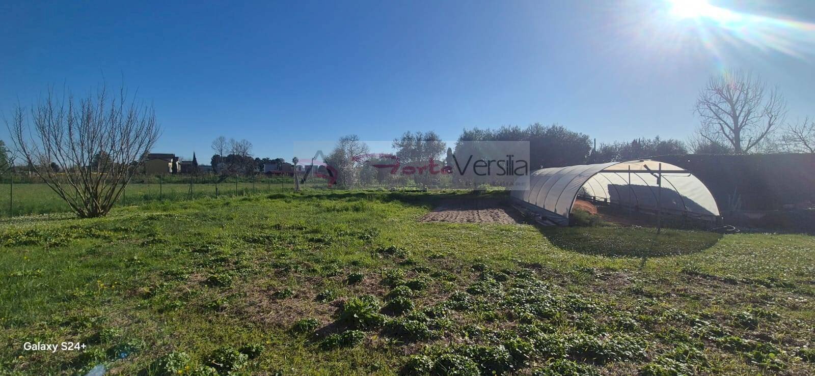 Foto 1 - Terreno agricolo Forte dei Marmi - foto 1